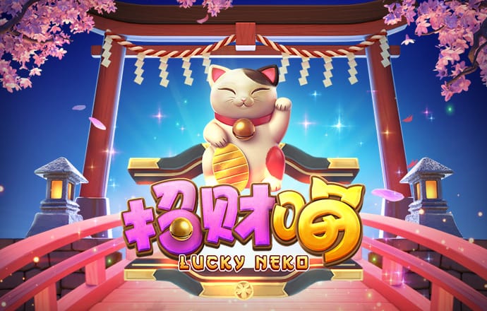彩虹网官方网站进入sottop