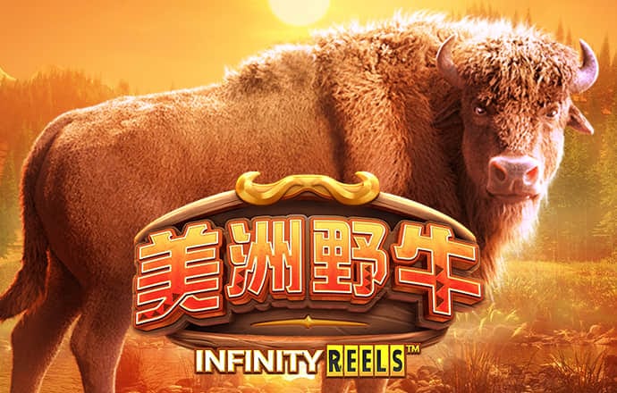 bob体育官网登录
